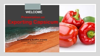 WELCOME
Presentation on
Exporting Capsicum
 
