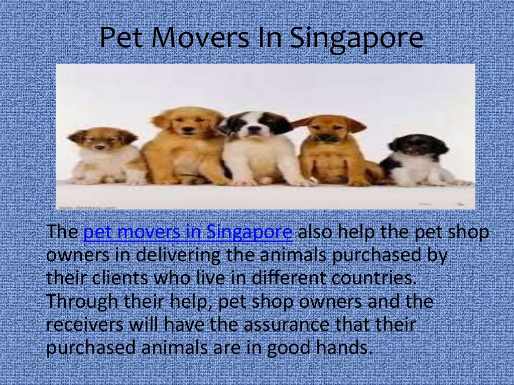 animal quarantine singapore