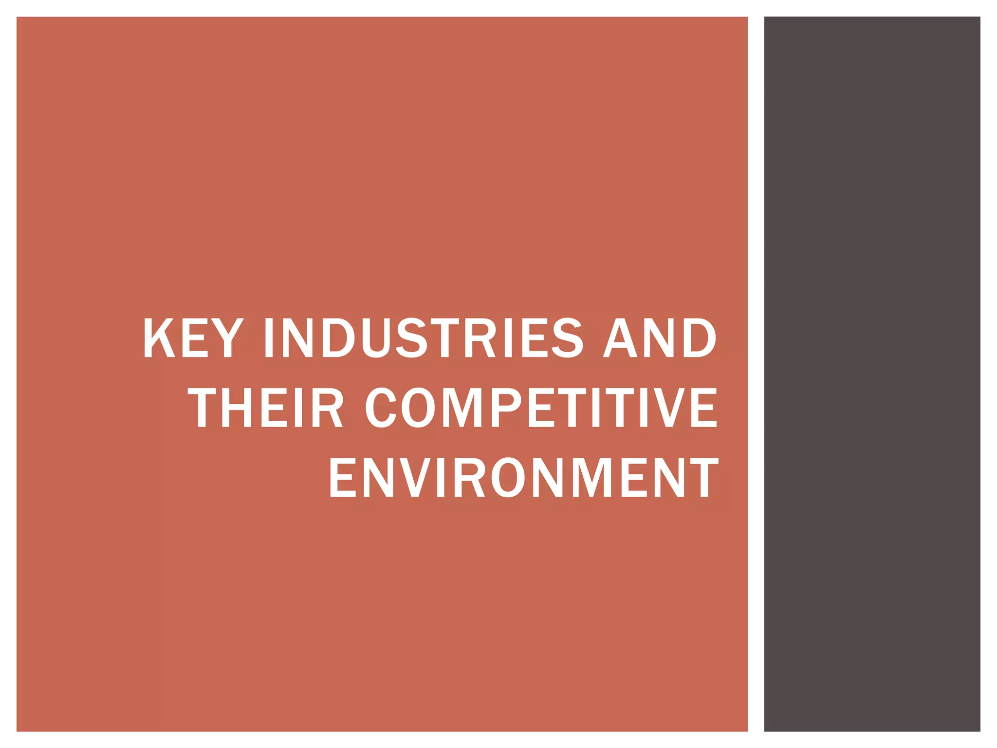 KEY INDUSTRIES AND
THEIR COMPETITIVE
ENVIRONMENT