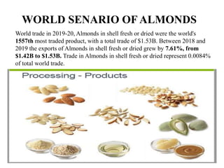 Export performance of almonds from Afghanistan | PPTX