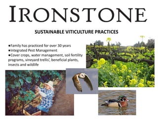 SUSTAINABLE VITICULTURE PRACTICES
●Family has practiced for over 30 years
●Integrated Pest Management
●Cover crops, water management, soil fertility
programs, vineyard trellis’, beneficial plants,
insects and wildlife
 