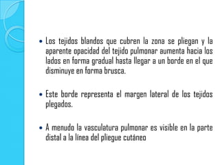    Los tejidos blandos que cubren la zona se pliegan y la
    aparente opacidad del tejido pulmonar aumenta hacia los
    lados en forma gradual hasta llegar a un borde en el que
    disminuye en forma brusca.

   Este borde representa el margen lateral de los tejidos
    plegados.

   A menudo la vasculatura pulmonar es visible en la parte
    distal a la línea del pliegue cutáneo
 