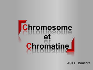 Chromosome
     et
 Chromatine
         ARICHI Bouchra
 