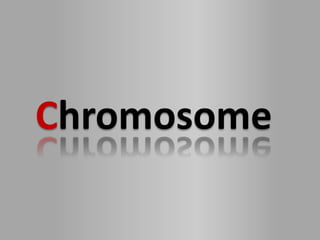 Chromosome
 