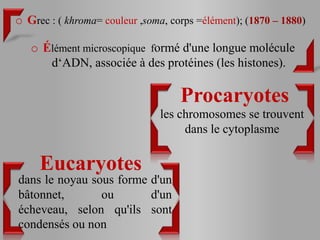 o Grec : ( khroma= couleur ,soma, corps =élément); (1870 – 1880)

   o Élément microscopique formé d'une longue molécule
      d‘ADN, associée à des protéines (les histones).

                                    Procaryotes
                               les chromosomes se trouvent
                                    dans le cytoplasme

     Eucaryotes
dans le noyau sous forme d'un
bâtonnet,       ou       d'un
écheveau, selon qu'ils sont
condensés ou non
 
