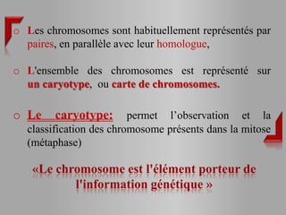 o Les chromosomes sont habituellement représentés par
  paires, en parallèle avec leur homologue,

o L'ensemble des chromosomes est représenté sur
  un caryotype, ou carte de chromosomes.

o Le    caryotype:       permet l’observation et la
  classification des chromosome présents dans la mitose
  (métaphase)

   «Le chromosome est l'élément porteur de
          l'information génétique »
 
