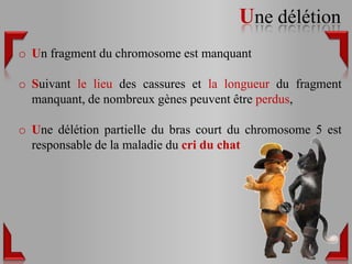 Une délétion
o Un fragment du chromosome est manquant

o Suivant le lieu des cassures et la longueur du fragment
  manquant, de nombreux gènes peuvent être perdus,

o Une délétion partielle du bras court du chromosome 5 est
  responsable de la maladie du cri du chat
 