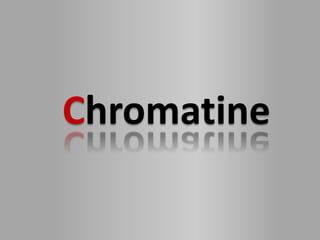 Chromatine
 