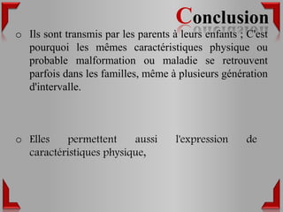 Conclusion
o Ils sont transmis par les parents à leurs enfants ; C'est
  pourquoi les mêmes caractéristiques physique ou
  probable malformation ou maladie se retrouvent
  parfois dans les familles, même à plusieurs génération
  d'intervalle.



o Elles   permettent     aussi       l'expression     de
  caractéristiques physique,
 