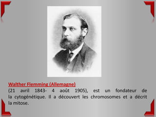 Walther Flemming (Allemagne)
(21 avril 1843- 4 août 1905), est un fondateur de
la cytogénétique. Il a découvert les chromosomes et a décrit
la mitose.
 