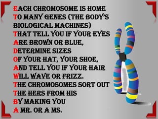 Each chromosome is home
To many genes (The body’s
biological machines)
That tell you if your eyes
Are brown or blue,
Determine sizes
Of your hat, your shoe,
And tell you if your hair
Will wave or frizz.
The chromosomes sort out
The Hers from His
By making you
A Mr. or a Ms.
 