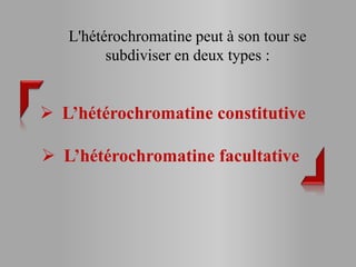 L'hétérochromatine peut à son tour se
         subdiviser en deux types :


 L’hétérochromatine constitutive

 L’hétérochromatine facultative
 