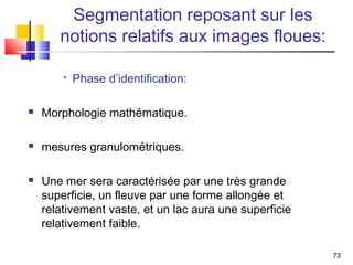 Segmentation reposant sur les
       notions relatifs aux images floues:

           Phase d’identification:

   Morphologie mathématique.

   mesures granulométriques.

   Une mer sera caractérisée par une très grande
    superficie, un fleuve par une forme allongée et
    relativement vaste, et un lac aura une superficie
    relativement faible.

                                                        73
 