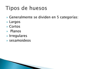 Generalmente se dividen en 5 categorías:
 Largos
 Cortos
 Planos
 Irregulares
 sesamoideos
 