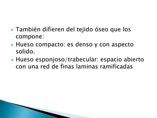  También difieren del tejido óseo que los
compone:
 Hueso compacto: es denso y con aspecto
solido.
 Hueso esponjoso/trabecular: espacio abierto
con una red de finas laminas ramificadas
 
