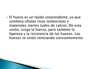 El hueso es un tejido sorprendente, ya que
combina células vivas (osteocitos) y
materiales inertes (sales de calcio). De esta
unión, surge la fuerza, pero también la
ligereza y la resistencia de los huesos. Los
huesos se están renovando constantemente.
 