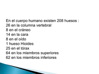 En el cuerpo humano existen 208 huesos :
26 en la columna vertebral
8 en el cráneo
14 en la cara
8 en el oído
1 hueso Hioides
25 en el tórax
64 en los miembros superiores
62 en los miembros inferiores
 