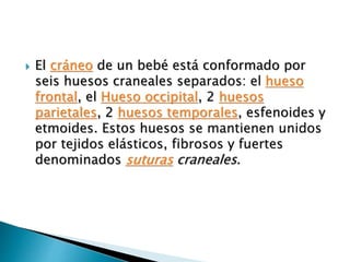  El cráneo de un bebé está conformado por
seis huesos craneales separados: el hueso
frontal, el Hueso occipital, 2 huesos
parietales, 2 huesos temporales, esfenoides y
etmoides. Estos huesos se mantienen unidos
por tejidos elásticos, fibrosos y fuertes
denominados suturas craneales.
 