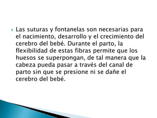  Las suturas y fontanelas son necesarias para
el nacimiento, desarrollo y el crecimiento del
cerebro del bebé. Durante el parto, la
flexibilidad de estas fibras permite que los
huesos se superpongan, de tal manera que la
cabeza pueda pasar a través del canal de
parto sin que se presione ni se dañe el
cerebro del bebé.
 