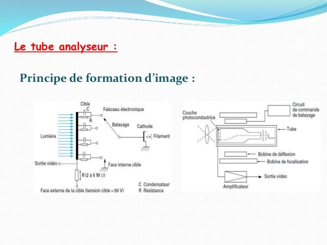 Основы трехмерного моделирования в 3DS