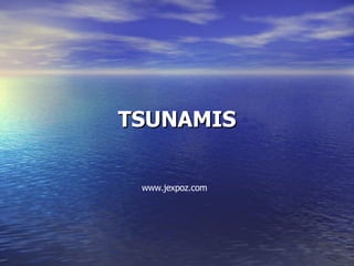 TSUNAMIS www.jexpoz.com 
