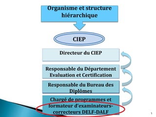 CIEP
Directeur du CIEP
Responsable du Département
Evaluation et Certification
Responsable du Bureau des
Diplômes
Chargé de programmes et
formateur d’examinateurs-
correcteurs DELF-DALF
Organisme et structure
hiérarchique
5
 