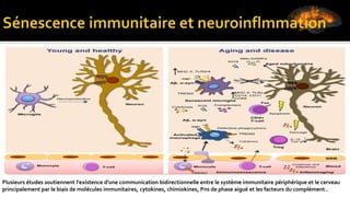 Plusieurs études soutiennent l'existence d'une communication bidirectionnelle entre le système immunitaire périphérique et le cerveau
principalement par le biais de molécules immunitaires, cytokines, chimiokines, Pns de phase aiguë et les facteurs du complément .
 
