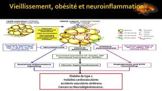 Diabète de type 2
maladies cardiovasculaires
accidents vasculaires cérébraux
Cancers ou Neurodégénérescence .
 