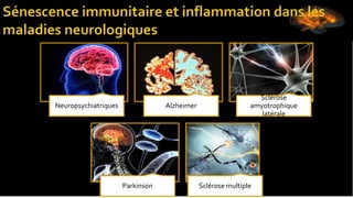 Neuropsychiatriques Alzheimer
Sclérose
amyotrophique
latérale
Parkinson Sclérose multiple
 
