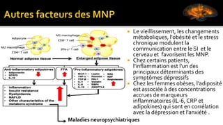  Le vieillissement, les changements
métaboliques, l'obésité et le stress
chronique modulent la
communication entre le SI et le
cerveau et favorisent les MNP.
 Chez certains patients,
l'inflammation est l'un des
principaux déterminants des
symptômes dépressifs
 Chez les femmes obèses, l'adiposité
est associée à des concentrations
accrues de marqueurs
inflammatoires (IL-6, CRP et
adipokines) qui sont en corrélation
avec la dépression et l'anxiété .
Maladies neuropsychiatriques
 