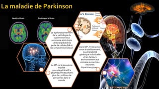 La MP est le deuxième
trouble
neurodégénératif le
plus fréquent touchant
plus de 4 millions de
personnes dans le
monde.
Dans MP , l'interaction
entre le vieillissement,
la vulnérabilité
génétique individuelle
et les facteurs
environnementaux
entraîne la mort des
neurones
dopaminergiques .
Le dysfonctionnement
de la pathologie du
système nerveux
autonome et du tronc
cérébral précède la
perte de cellules DA et
les symptômes moteurs
.
 