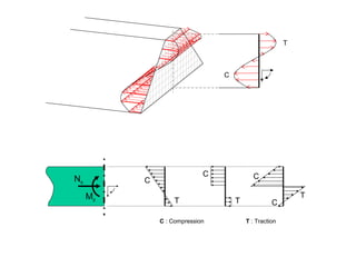 Nx 
Mz 
C 
C : Compression T : Traction 
C 
T T 
T 
C 
C 
T 
C 
 