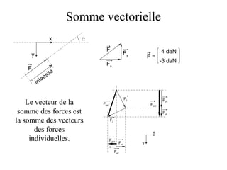 Somme vectorielle 
x 
y 
a 
F 
F Fy 
Fx 
F = 
4 daN 
-3 daN 
intensité 
F1 
F2 
Ftot 
Fy1 
Fy2 
Fytot 
Fxtot 
Fx1 
Fx2 
x 
y 
Le vecteur de la 
somme des forces est 
la somme des vecteurs 
des forces 
individuelles. 
 