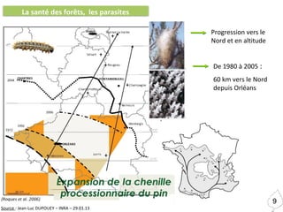 La santé des forêts, les prédateurs
10
Source : Réseau Ongulés Sauvages ONCFS/FNC/FDC
Evolution annuelle du tableau de cha...