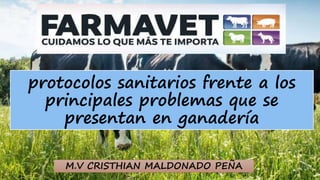 protocolos sanitarios frente a los
principales problemas que se
presentan en ganadería
M.V CRISTHIAN MALDONADO PEÑA
 