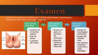 Examen
Clínico
 Lesiones provocadas por la defensa de la victima con el agresor ( excoriaciones,
equimosis en área interna de muslos, antebrazos
Área Genital
Femenina
• Lesiones en
el introito
vaginal
• Tipo de
himen
• Lesiones
del himen
Área Genital
Masculina
• Evaluar el
pene, el
escroto y
los
testículos
• Describir
lesiones y
signos de
infección
Área anal y
perianal
• estado de
los pliegues
perianales
• estado del
esfínter
anal
• Las lesiones
recientes ,
cicatrices u
otros
hallazgos
 