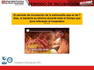 PERIODO DE INCUBACION
El periodo de incubación de la salmonella spp es de 7
días, la bacteria se elimina durante todo el tiempo que
dura infectado al hospedero
(ICA, 2018)
 