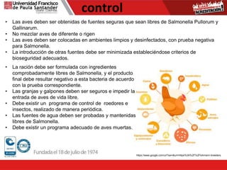 control
• Las aves deben ser obtenidas de fuentes seguras que sean libres de Salmonella Pullorum y
Gallinarum.
• No mezclar aves de diferente o rigen
• Las aves deben ser colocadas en ambientes limpios y desinfectados, con prueba negativa
para Salmonella.
• La introducción de otras fuentes debe ser minimizada estableciéndose criterios de
bioseguridad adecuados.
https://www.google.com/url?sa=i&url=https%3A%2F%2Flohmann-breeders.
• La ración debe ser formulada con ingredientes
comprobadamente libres de Salmonella, y el producto
final debe resultar negativo a esta bacteria de acuerdo
con la prueba correspondiente.
• Las granjas y galpones deben ser seguros e impedir la
entrada de aves de vida libre.
• Debe existir un programa de control de roedores e
insectos, realizado de manera periódica.
• Las fuentes de agua deben ser probadas y mantenidas
libres de Salmonella.
• Debe existir un programa adecuado de aves muertas.
 