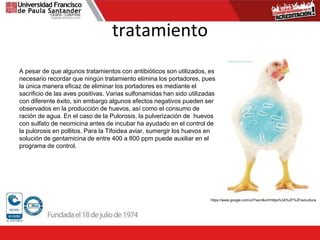 tratamiento
A pesar de que algunos tratamientos con antibióticos son utilizados, es
necesario recordar que ningún tratamiento elimina los portadores, pues
la única manera eficaz de eliminar los portadores es mediante el
sacrificio de las aves positivas. Varias sulfonamidas han sido utilizadas
con diferente éxito, sin embargo algunos efectos negativos pueden ser
observados en la producción de huevos, así como el consumo de
ración de agua. En el caso de la Pulorosis, la pulverización de huevos
con sulfato de neomicina antes de incubar ha ayudado en el control de
la pulorosis en pollitos. Para la Tifoidea aviar, sumergir los huevos en
solución de gentamicina de entre 400 a 800 ppm puede auxiliar en el
programa de control.
https://www.google.com/url?sa=i&url=https%3A%2F%2Favicultura.
 