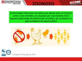 ZOONOSIS
Enfermedad infecciosa zoonótica que afecta tanto al humano
como a los animales, es causado por una bacteria de la
especia salmonella de distribución mundial y se considera un
gran problema de salud publica
 