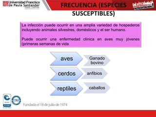FRECUENCIA (ESPECIES
SUSCEPTIBLES)
La infección puede ocurrir en una amplia variedad de hospederos
incluyendo animales silvestres, domésticos y el ser humano.
Puede ocurrir una enfermedad clínica en aves muy jóvenes
(primeras semanas de vida
aves Ganado
bovino
cerdos anfibios
reptiles caballos
 