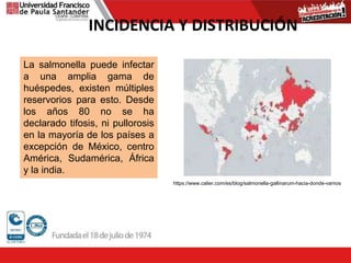 INCIDENCIA Y DISTRIBUCIÓN
La salmonella puede infectar
a una amplia gama de
huéspedes, existen múltiples
reservorios para esto. Desde
los años 80 no se ha
declarado tifosis, ni pullorosis
en la mayoría de los países a
excepción de México, centro
América, Sudamérica, África
y la india.
https://www.calier.com/es/blog/salmonella-gallinarum-hacia-donde-vamos
 