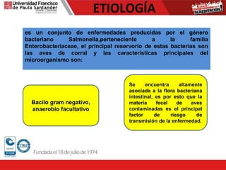 ETIOLOGÍA
es un conjunto de enfermedades producidas por el género
bacteriano Salmonella,perteneciente a la familia
Enterobacteriaceae, el principal reservorio de estas bacterias son
las aves de corral y las características principales del
microorganismo son:
Bacilo gram negativo,
anaerobio facultativo
Se encuentra altamente
asociada a la flora bacteriana
intestinal, es por esto que la
materia fecal de aves
contaminadas es el principal
factor de riesgo de
transmisión de la enfermedad.
 
