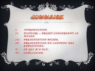 SOMMAIREINTRODUCTION.HISTOIRE – PROJET CONCERNANT LE MUSEE.PRESENTATION MUSEE.PRESENTATION DU CONTENU DES EXPOSITIONS.CE QUI M’A PLU.CONCLUSION.3
