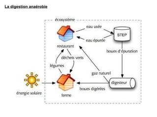 La digestion anaérobie 