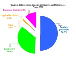 Structure de la demande d'énergie primaire intégrant la biomasse Année 2000 Produits pétroliers 50,5 % Biomasse-Énergie 12% Hydroélectricité 0,1%  Gaz naturel 31,6 % Coke 1,3%   