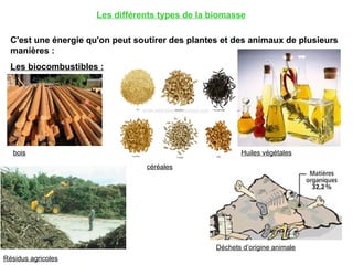 Les différents types de la biomasse C'est une énergie qu'on peut soutirer des plantes et des animaux de plusieurs manières : Les biocombustibles :   bois céréales Huiles végétales Résidus agricoles Déchets d’origine animale 
