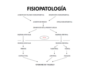 FISIOPATOLOGÍA
 