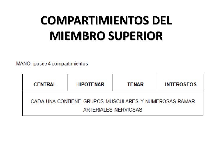 Piccolo aumento del membro