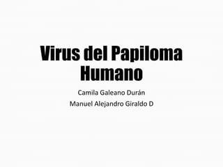 Virus del Papiloma 
Humano 
Camila Galeano Durán 
Manuel Alejandro Giraldo D 
 